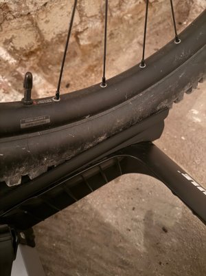 MTB_halter.jpeg