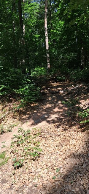20260607_102623.jpg