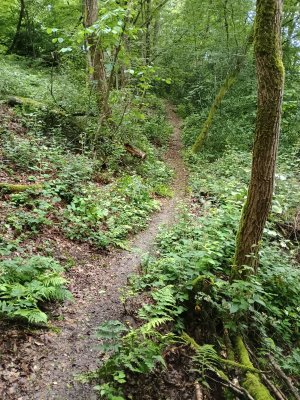 IMG_20260611_174336992_HDR.jpg