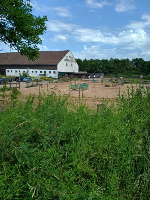 IMG_20260621_114039936_HDR.jpg