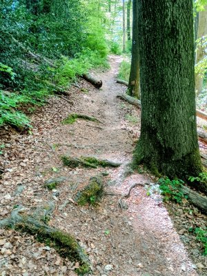 IMG_20260501_142913557_HDR~2.jpg