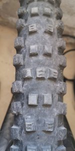 IMG_20200423_121225.jpg