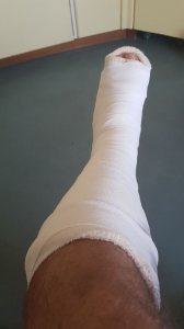 IMG-20170818-WA0006.jpg IMG-20170818-WA0006.jpg
