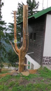 S1020018.JPG