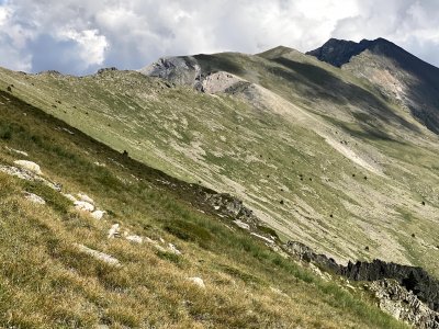 IMG_0423.jpg