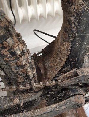 20201229_120134.jpg 20201229_120134.jpg