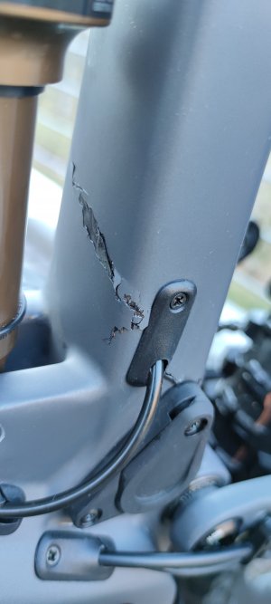 IMG_20220208_162946.jpg