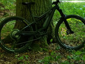 20180723_170823.jpg