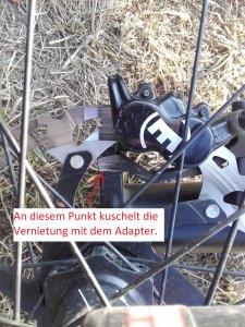bild2.jpg bild2.jpg