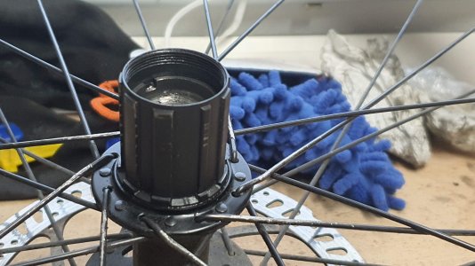 20220808_155749.jpg 20220808_155749.jpg