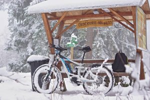 Winter.jpg Winter.jpg