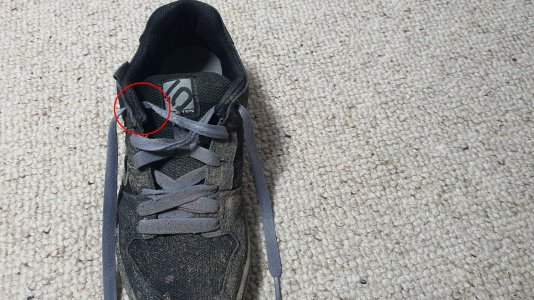 510Schuh.jpg 510Schuh.jpg
