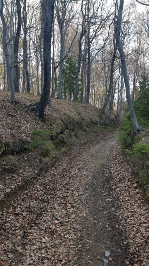 20230410_174519.jpg 20230410_174519.jpg