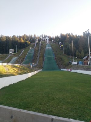 IMG_20231013_172459.jpg