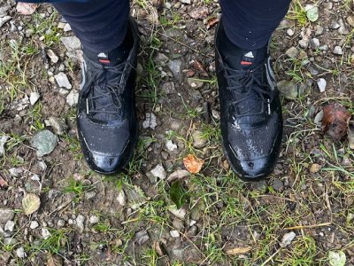 IMG_4378.jpeg IMG_4378.jpeg