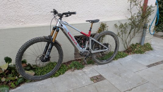 PXL_20250322_125155439.MP.jpg
