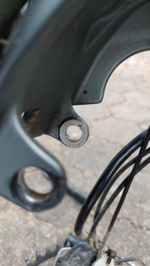 Schraubauge links_2.jpg