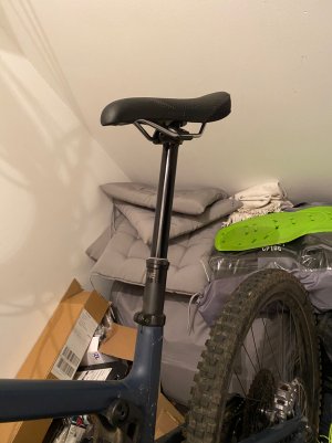 IMG_3838.jpeg