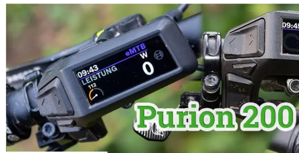Purion 200.png