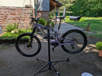 PXL_20250624_124229205.jpg