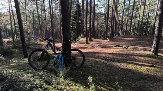 IMG-20251116-WA0033.jpeg