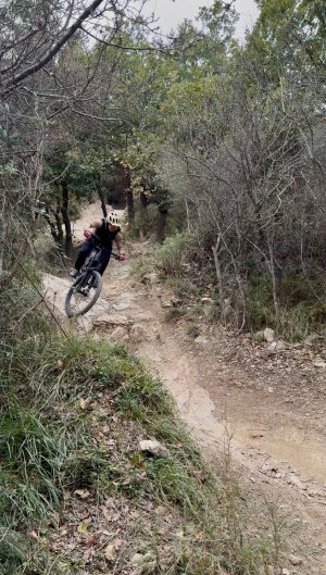 IMG_8751.jpeg