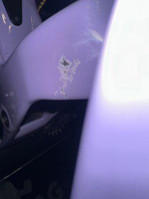 IMG_2222.jpeg
