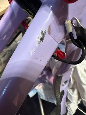 IMG_2221.jpeg