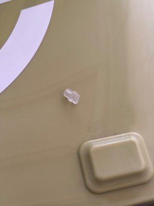 IMG_6231.jpeg