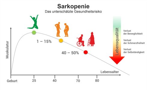 Sarkopenie_grafik-1.jpg