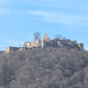 2600.jpg