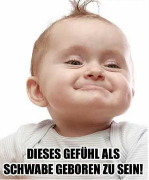 IMG_20260328_162411.png