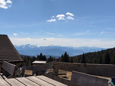 IMG_5115.jpeg