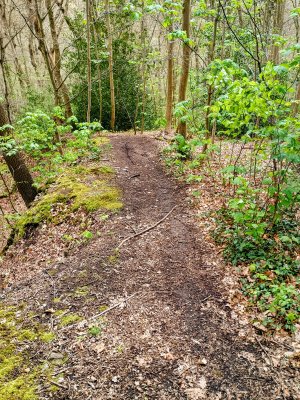 IMG_20260412_140823087_HDR~2.jpg