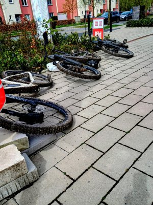 IMG_20260412_125527235_HDR~2.jpg