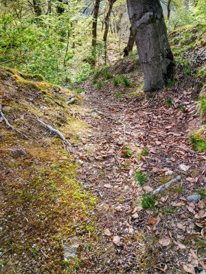 IMG_20260416_180908793_HDR~2.jpg