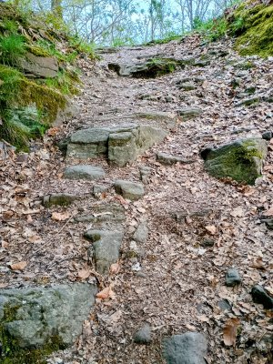 IMG_20260416_175348529_HDR~2.jpg