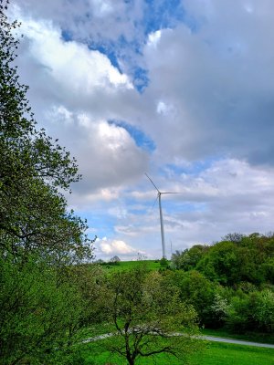 IMG_20260416_171528633_HDR~2.jpg