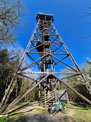 20260418_093854.jpg