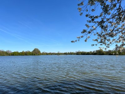 IMG_2718.JPG
