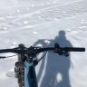 Peedoo