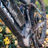 Dirt Ride