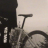 H.Dampf