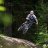 bastifunbiker_